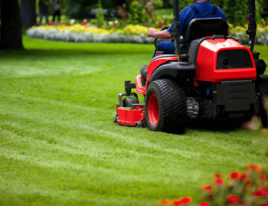 commercial lawn-min